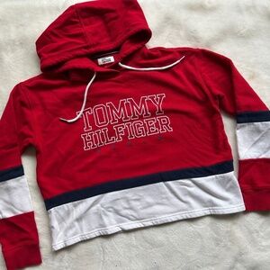 Vintage Tommy Hilfiger Crop Hoodie